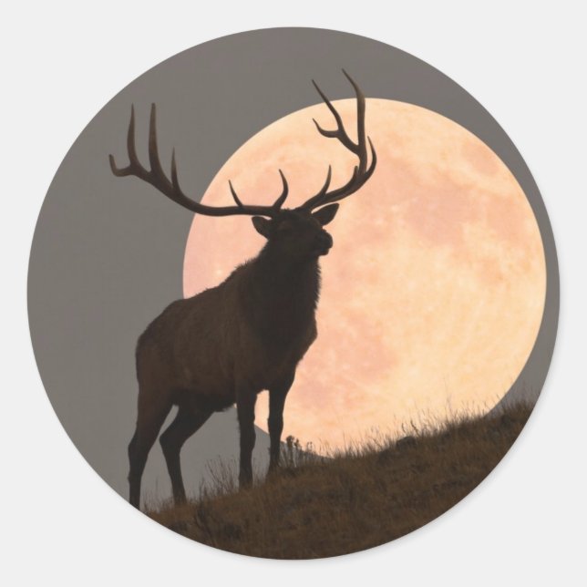 Majestic Bull Elk und Vollmond-Aufstieg Runder Aufkleber (Vorderseite)