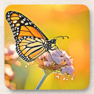Majestic Butterfly Nahes Design Getränkeuntersetzer
