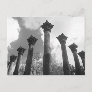 Majestic Columns of Windsor Ruins - Port Gibson MS Postkarte