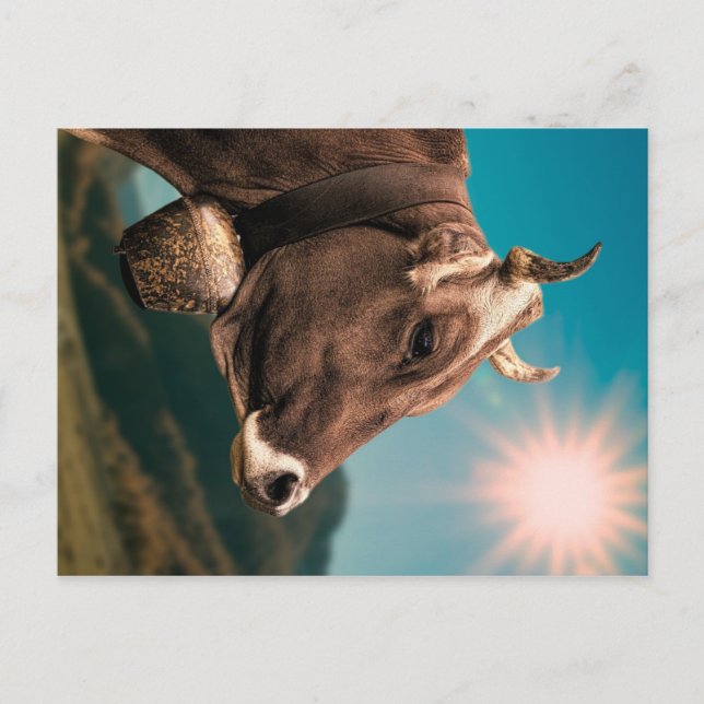Majestic Cow Postcard Postkarte (Vorderseite)