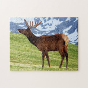 Majestic Deer in den Bergen Jigsaw Puzzle