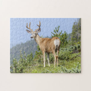 Majestic Deer Puzzle