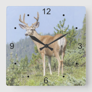 Majestic Deer Quadratische Wanduhr