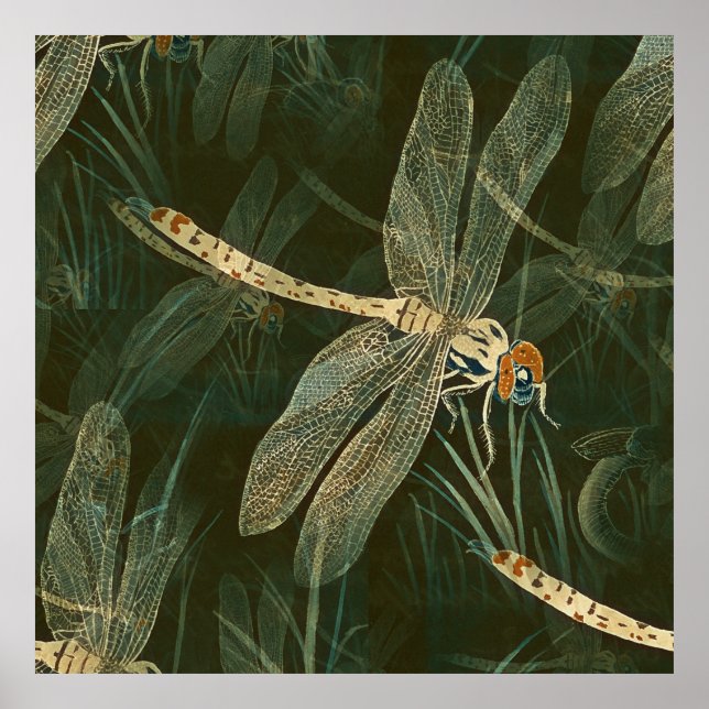 Majestic Dragonfly Pattern Poster (Vorne)