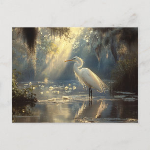 Majestic Egret Stehend in einem sonnigen Sumpf Postkarte