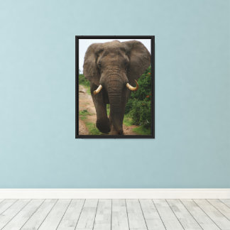 Majestic Elephant auf Safari Path Mächtige Wildtie Leinwanddruck