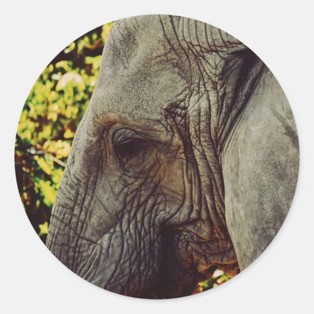 Majestic Elephant Runder Aufkleber (Vorderseite)