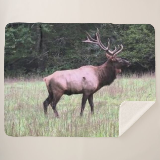 MAJESTIC ELK SHERPADECKE (Vorderseite (Horizontal))