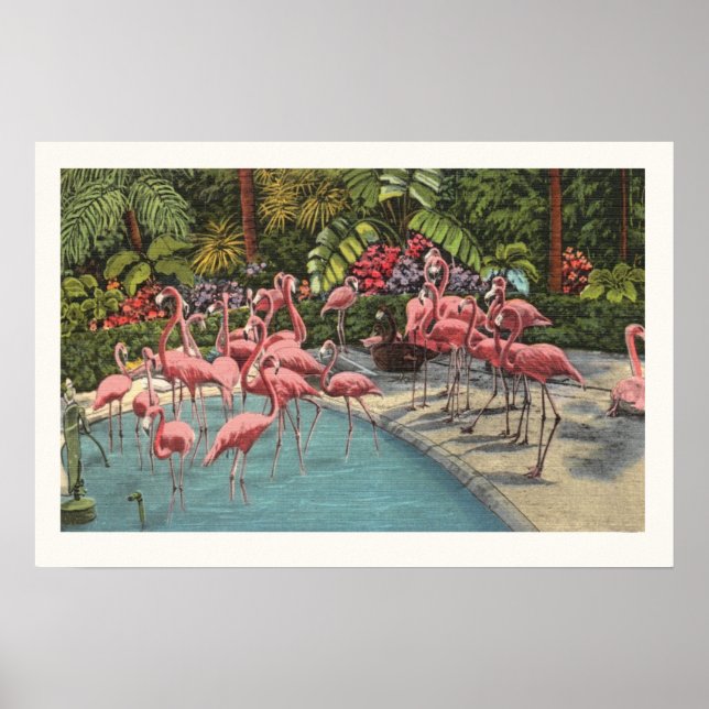 Majestic Flamingos Print Poster (Vorne)