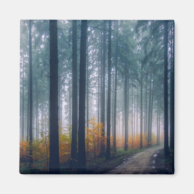 Majestic Forest Tree Lined Path Magnet (Vorne)