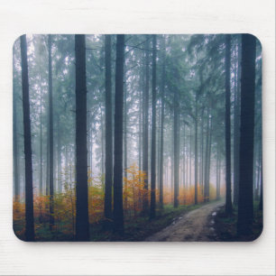Majestic Forest Tree Lined Path Mousepad