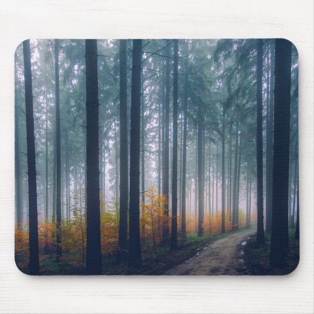 Majestic Forest Tree Lined Path Mousepad (Vorne)