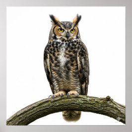 Majestic Great Horned Owl Poster