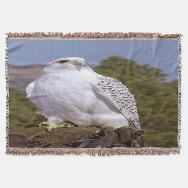 Majestic Gyrfalcon Decke (Vorderseite)