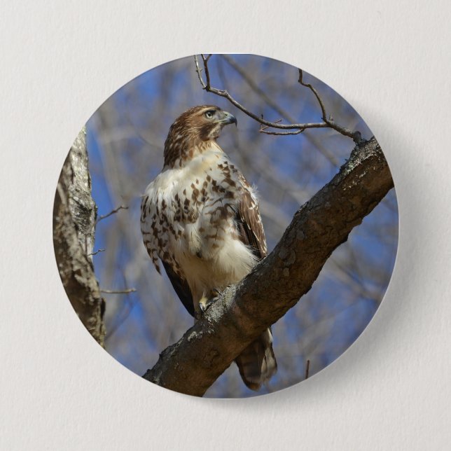 Majestic Hawk Button (Vorderseite)