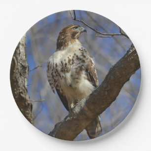 Majestic Hawk Pappteller