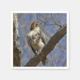 Majestic Hawk Serviette