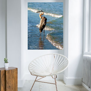 Majestic Heron Bird Beach Blue Waves Foto Poster