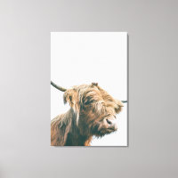Majestic Hochland-Kuh-Portrait