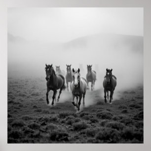 Majestic Horcohle Zeichnend - Grace und Streng Poster