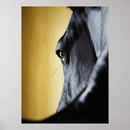 Majestic Horse Eye Close-Up Art Poster