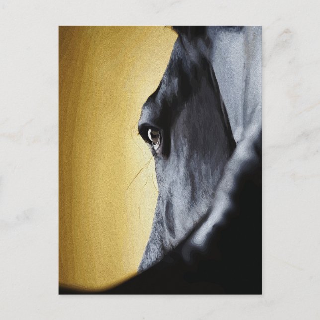 Majestic Horse Eye Nah-Up Art Postkarte (Vorderseite)
