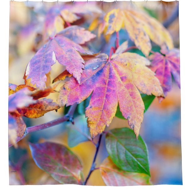 Majestic japanische Ahorn-Blätter Duschvorhang (Vorderseite)