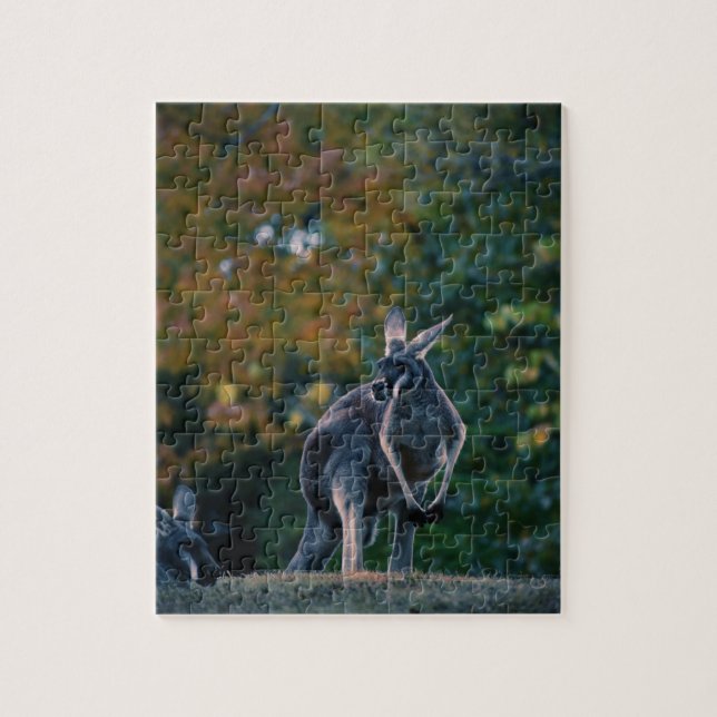 Majestic Kangaroo Puzzle (Vertikal)