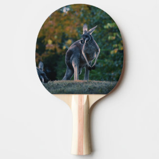 Majestic Kangaroo Tischtennis Schläger