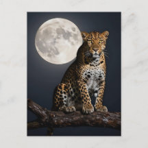 Majestic Leopard and Full Moon