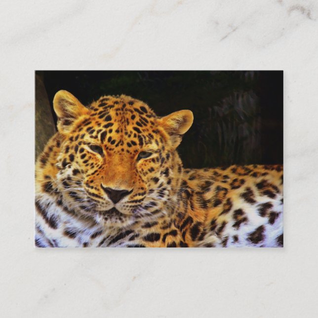 Majestic Leopard Business Card Visitenkarte (Vorderseite)