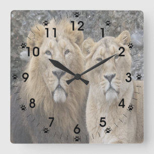 Majestic Lion Couple Quadratische Wanduhr