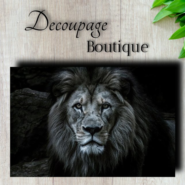 Majestic Lion Decoupage Seidenpapier (Majestic Lion Decoupage Tissue Paper)