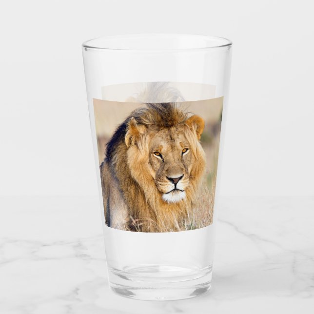 Majestic lion Foto Glas (Vorderseite)