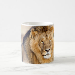Majestic lion Foto Kaffeetasse