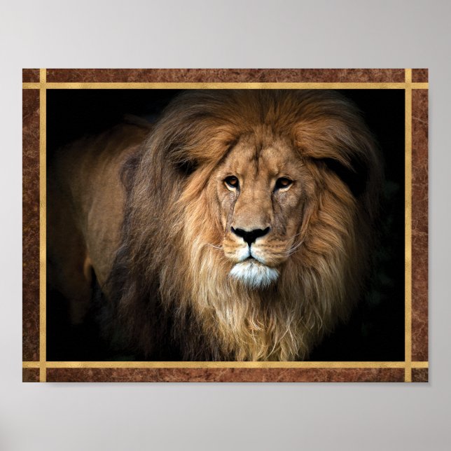 Majestic Lion Foto Poster (Vorne)