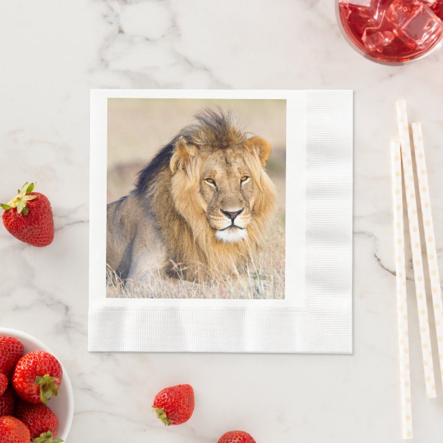 Majestic lion Foto Serviette (Beispiel)