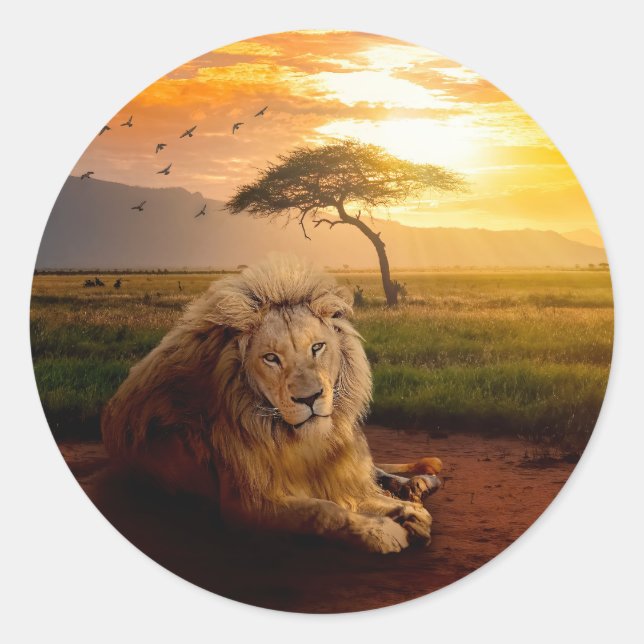 Majestic Lion in Afrika bei Sonnenuntergang Runder Aufkleber (Vorderseite)