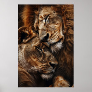 Majestic Lion und Lioness Cuddling Fotorealismus S Poster