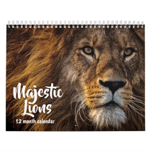 Majestic Lions 2026 Kalender