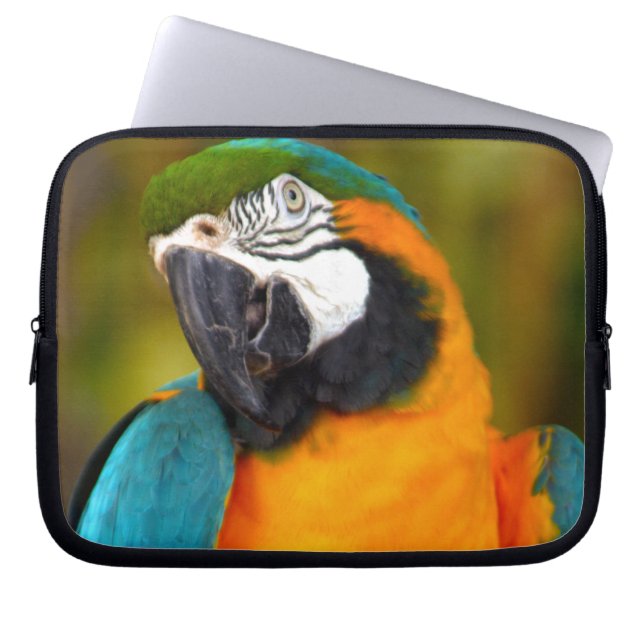 Majestic Macaw Laptopschutzhülle (Vorderseite)