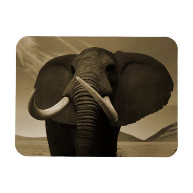Majestic Magnet (Horizontal)