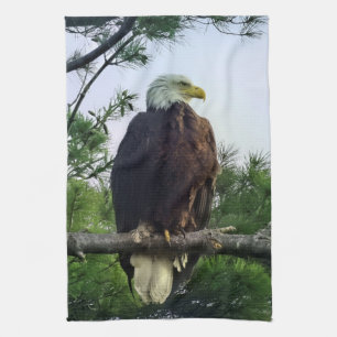 Majestic Mature Bald Eagle im Baum Geschirrtuch