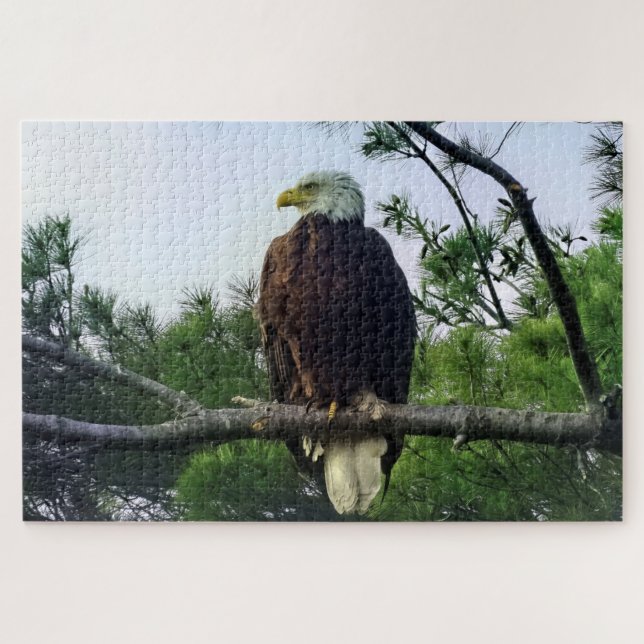 Majestic Mature Bald Eagle im Baum Puzzle (Horizontal)