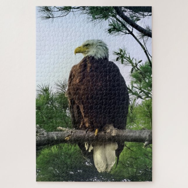 Majestic Mature Bald Eagle in Tree Jigsaw Puzzle (Vertikal)