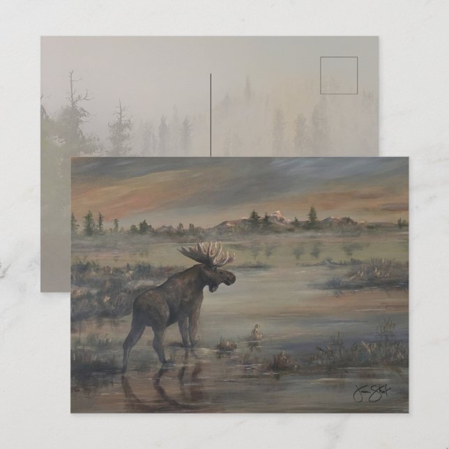 Majestic Moose Postkarte (Vorne/Hinten)