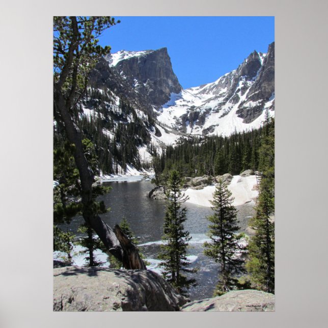 Majestic Nature in Estes Park Colorado Poster (Vorne)