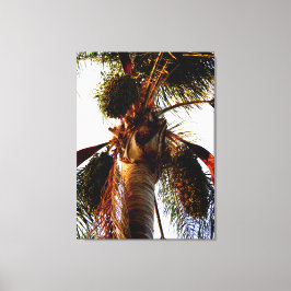Majestic Palm Perspektive Leinwanddruck