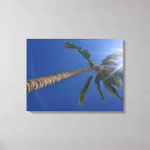 Majestic Palm Tree mit Sun Rays Canvas Print