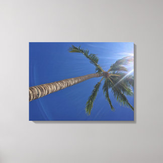 Majestic Palm Tree mit Sun Rays Canvas Print Leinwanddruck